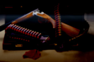 Coyote Co Leather Dealer Program