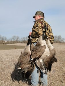 Duck and Goose Strap carrying 132 pounds of geese