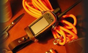 Gun Dog Training Accessories